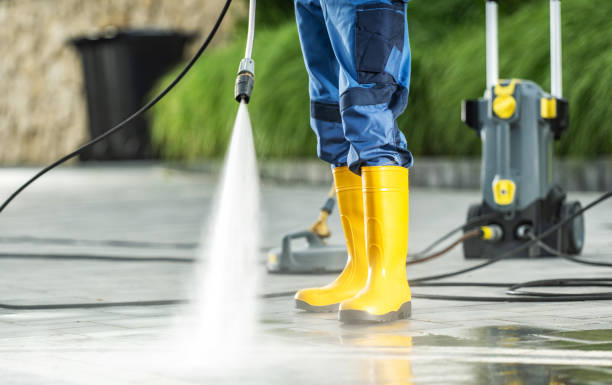 Best Residential Pressure Washing in Morrice, MI