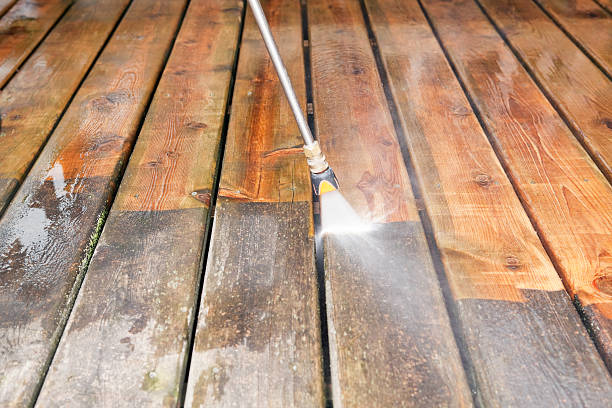 Best Gutter Cleaning in Morrice, MI